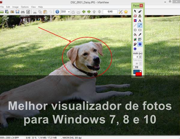 Melhor visualizador de fotos para Windows 7, 8 e 10